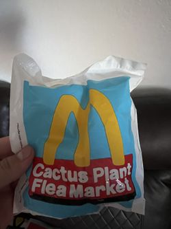 Cactus Plant Flee Market Toy