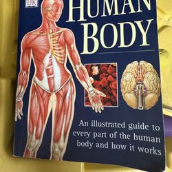 Human Body Book 