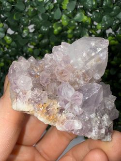 Spirit Quartz (Cactus Quartz) Cluster