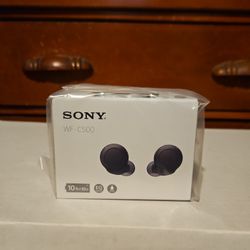 Sony WF-C500 Wireless Earbuds