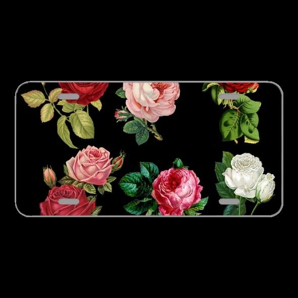 License Plate Novelty Car Front assorted-colored roses illustration