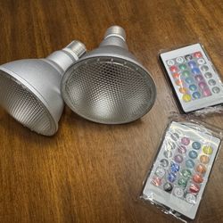 2Pack PAR30 LED Bulb, 30W RGB+Warm White(3000K) LED Flood Light Indoor/Outdoor, Dimmable Color Changing Spotlight with Remote Control, Lawn Lamp for H