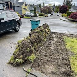 Free Sod Chunks For Fill