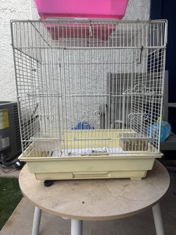 Bird cages