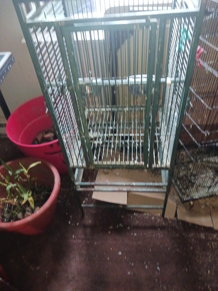 Iron Cage, Heavy ,good For All Kind Birds
