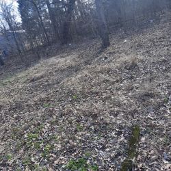 Land Terreno En Pagos Esta 1hr De Dallas Mide 150x50