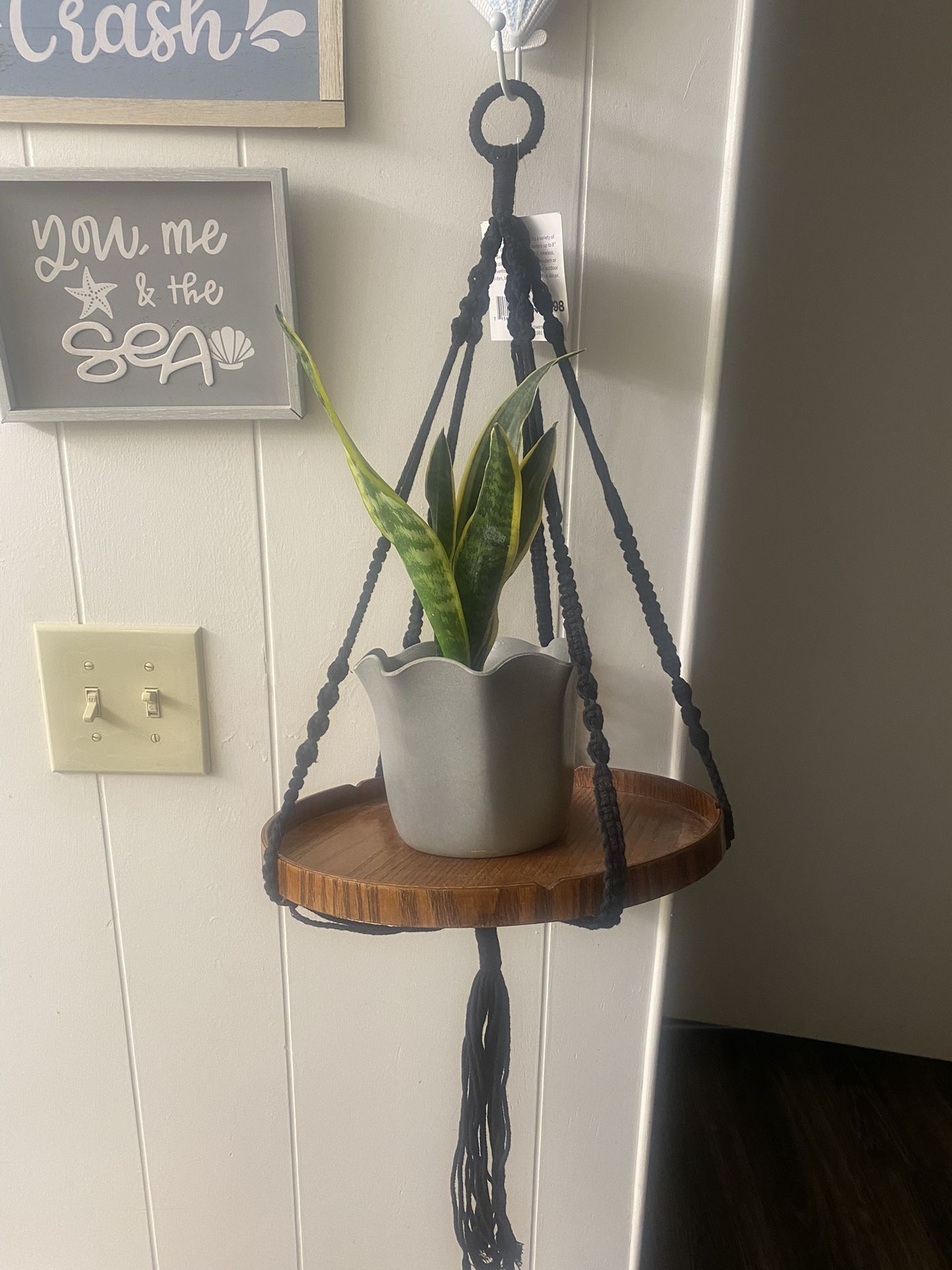 Plant Holder