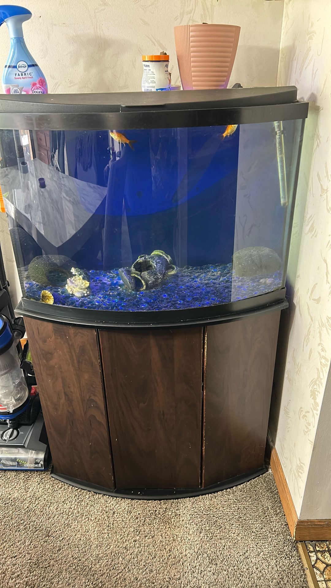 36 Gallon Bowfront Fish Tank Aquarium