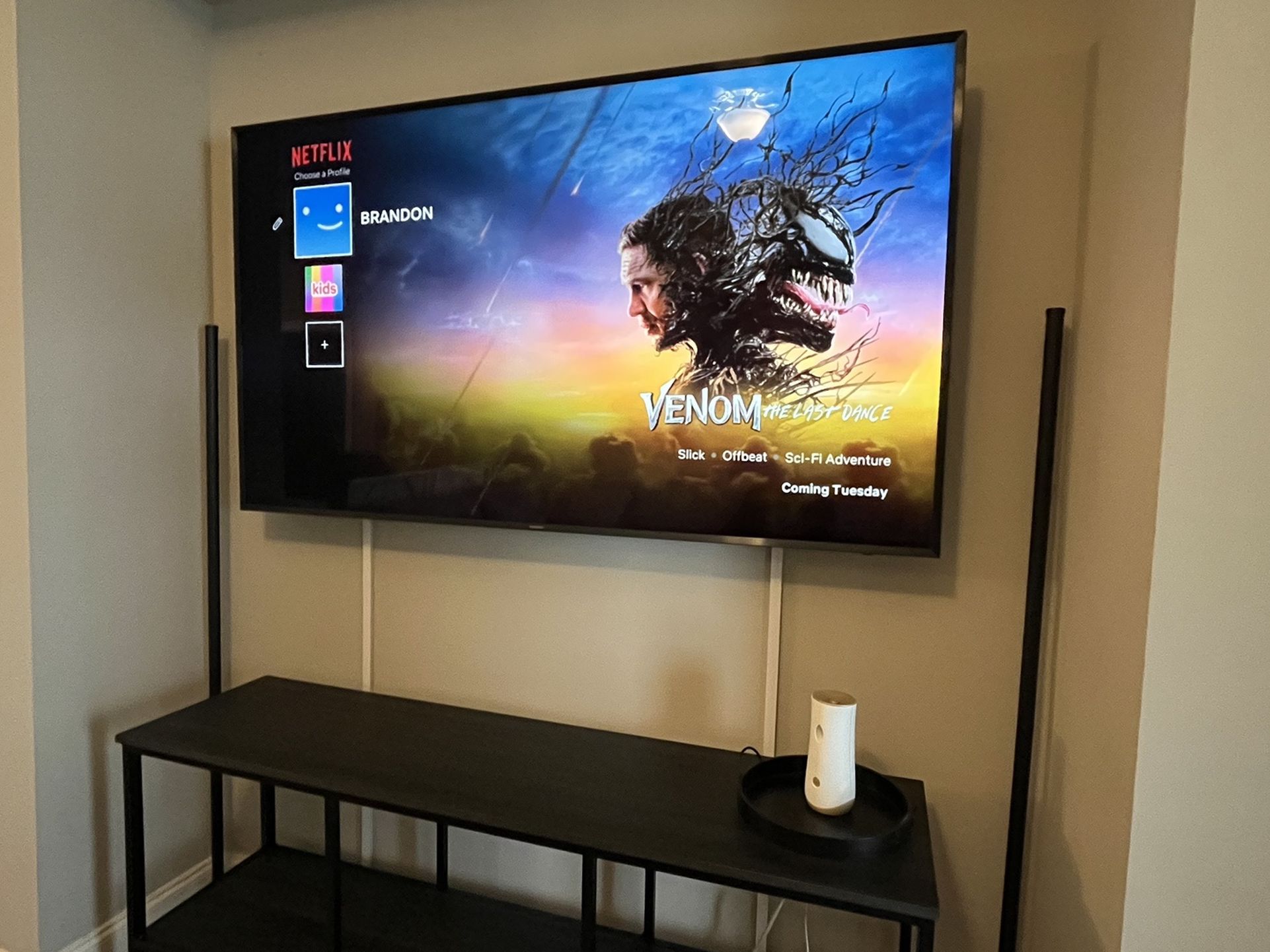 65in Samsung TV