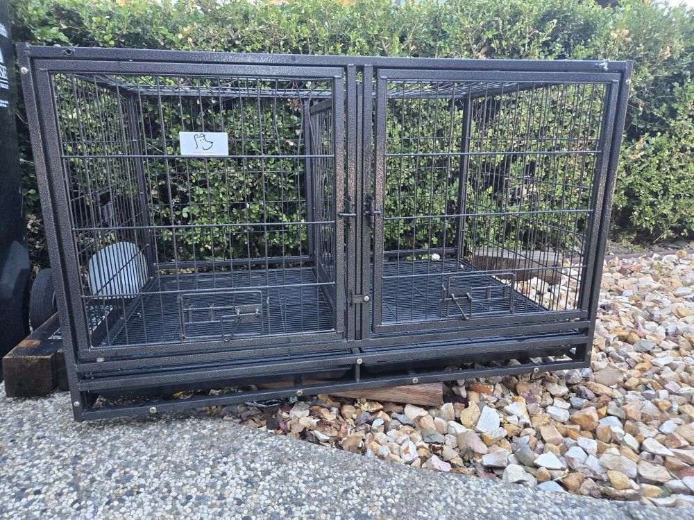 Dog Kennel
