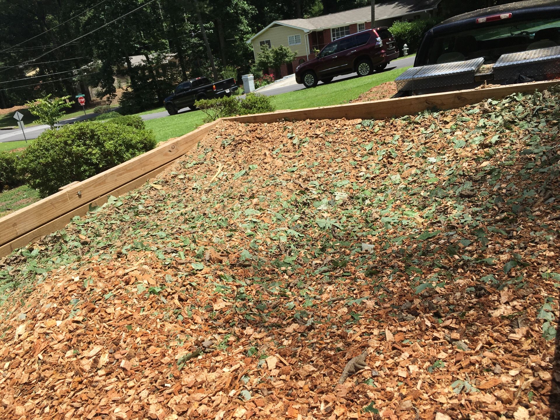 Free wood chips Lithonia sorroundibg areas