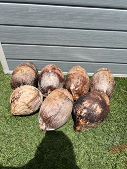 Dried coconut with water