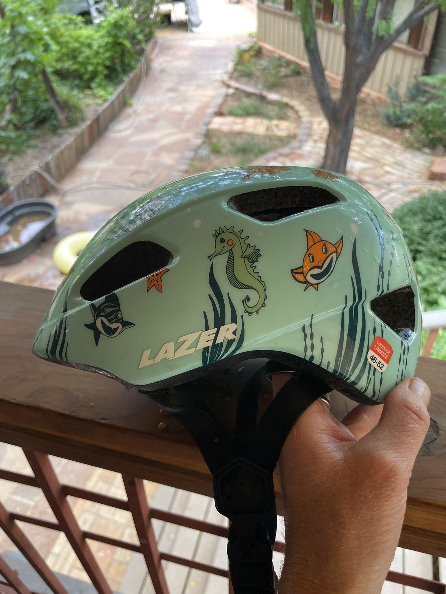 Lazer Pnut Helmet