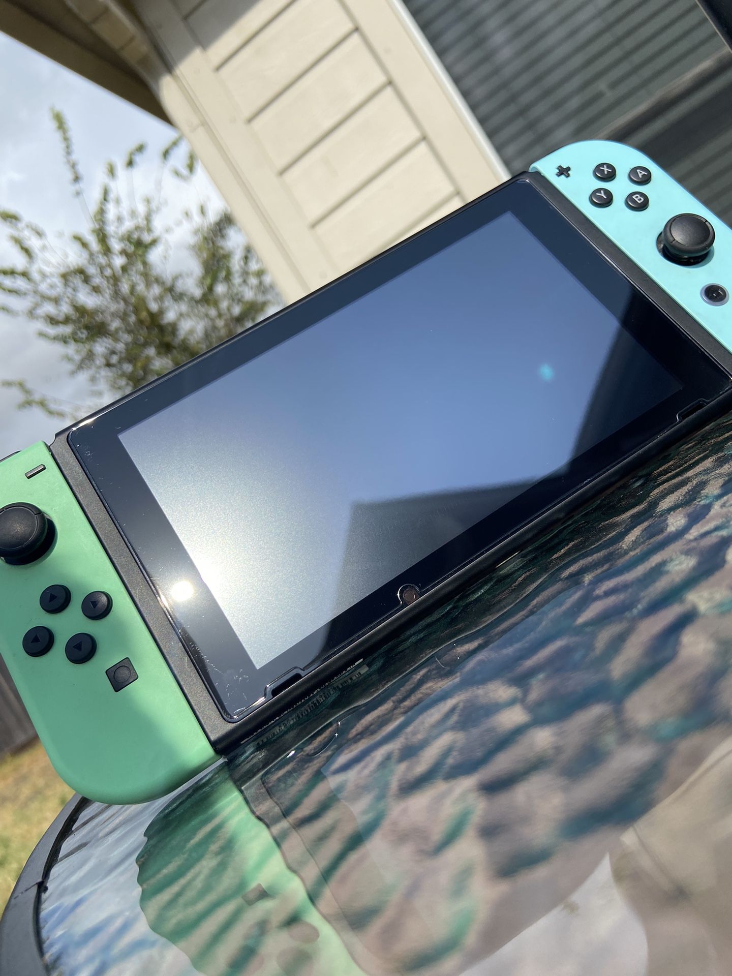 Animal Crossing Switch
