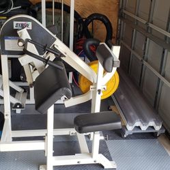 Strive Olympic Weight Plate Loaded Tricep Extension