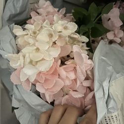 Cherry Blossoms For Sale Two Bags Full Of Them 