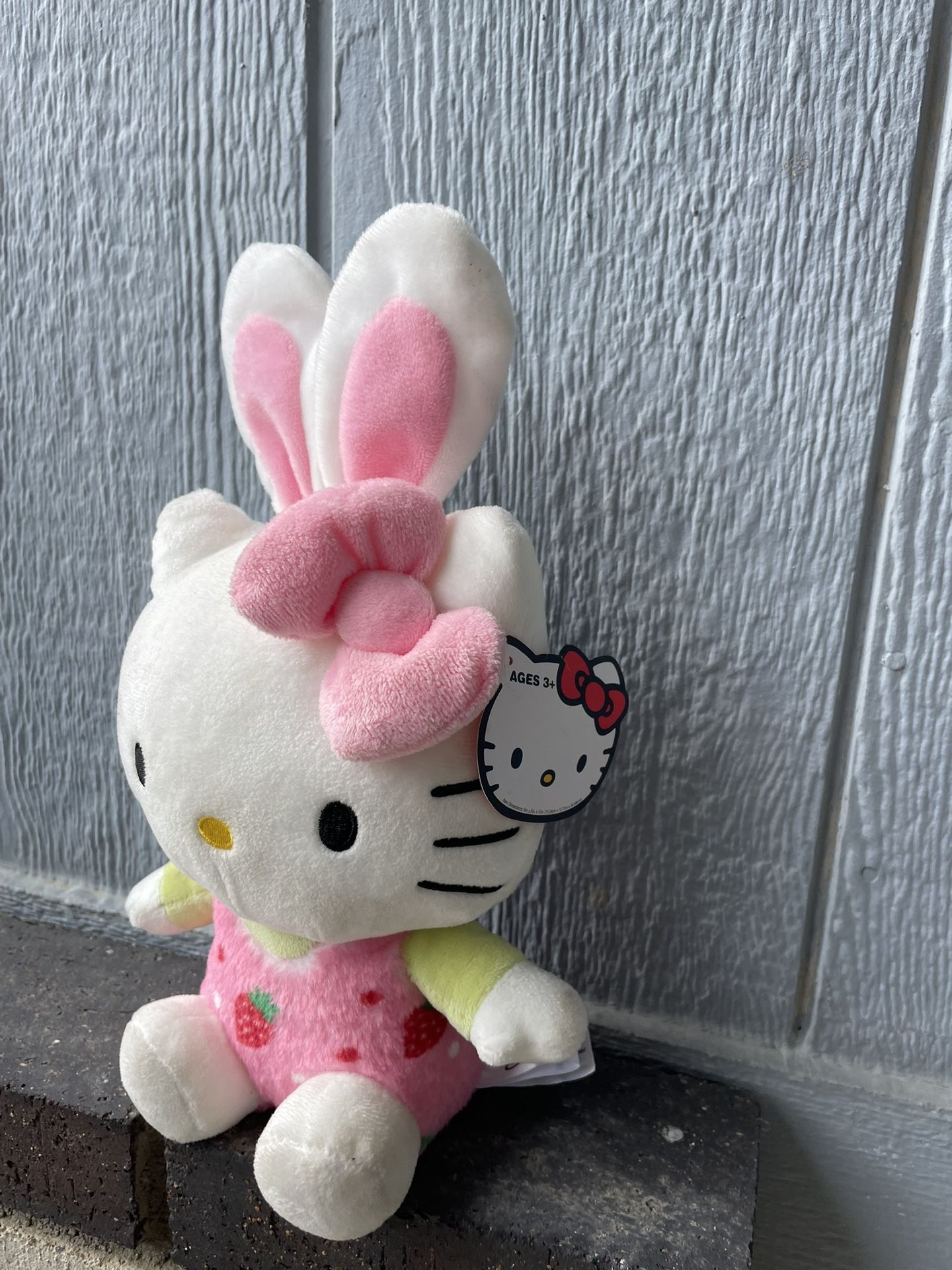 Hello Kitty Plush with Strawberry Clothes.