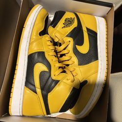 Air Jordan Pollens 1s 