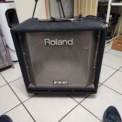 Roland Bass Amplifier 