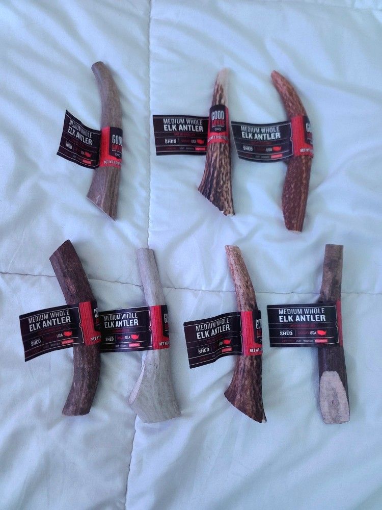 Medium Whole Elk Antler Chews (And One Whole Deer Chew)