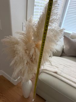 Pampas with vase