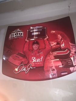 Eale Earnhardt Jr. Hood