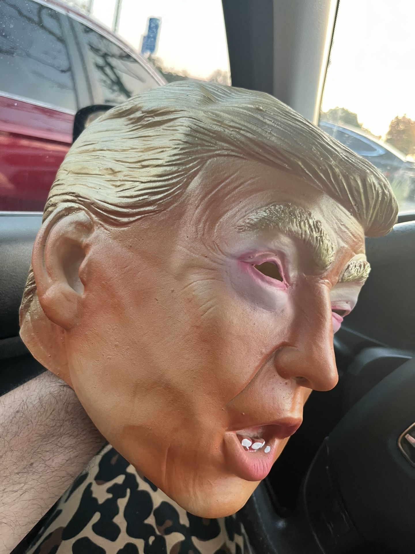 Trump Mask