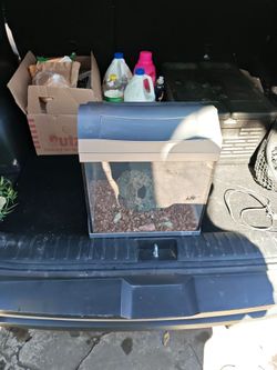 5 gallon tank