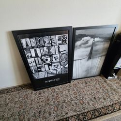 38 1/2 x 27 " pictures 