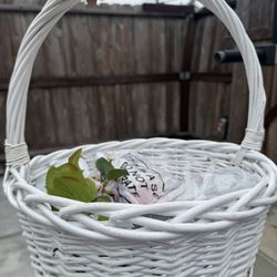 White Basket 
