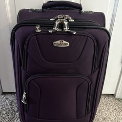 Ricardo Carry On Used Twice $40