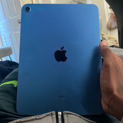 ipad (10 generation)