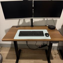 Sit/Stand Desk 