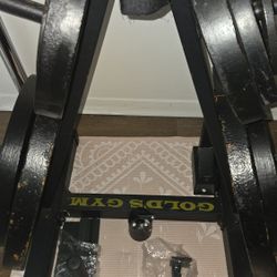 Weights 