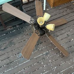 Fan 