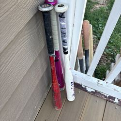 Softball And Baseball Bats 