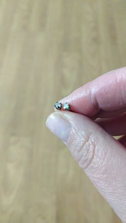 Earring