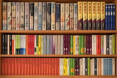 Large Collection of Japanese Books