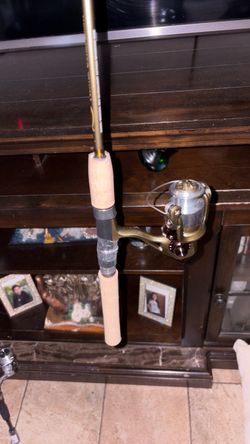 Fishing rod