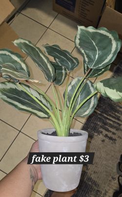 Fake Plants