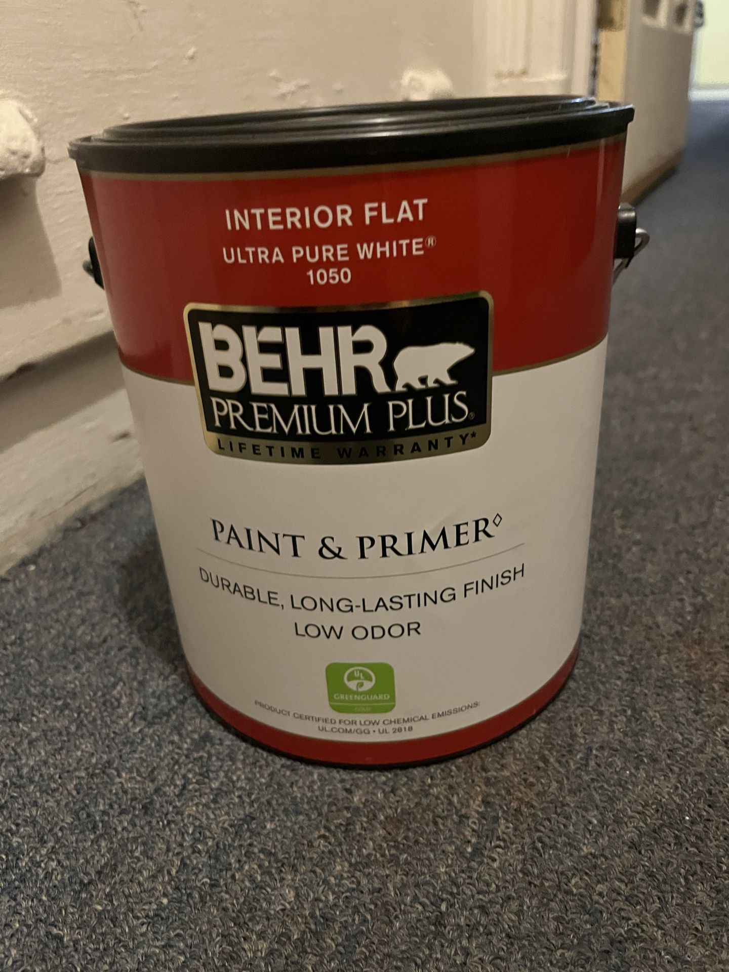 white paint and priner flat