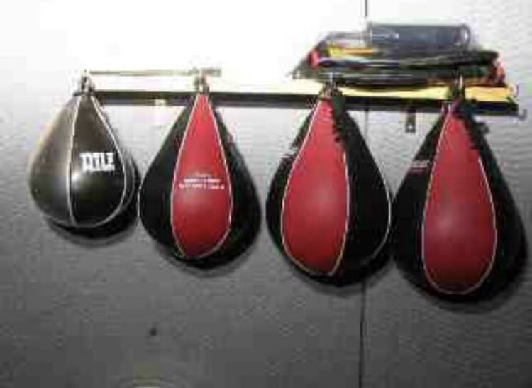 Professional Speed Bags