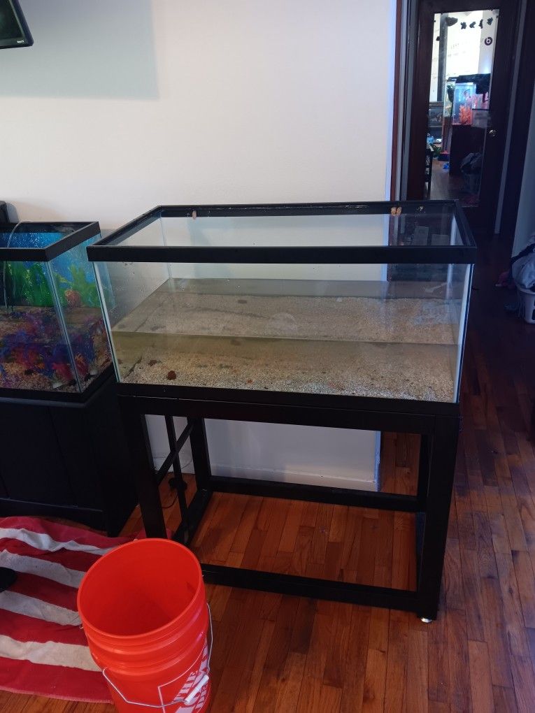 40 Gallon Breeder Fish Tank