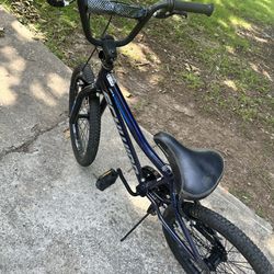 20in Bicycle