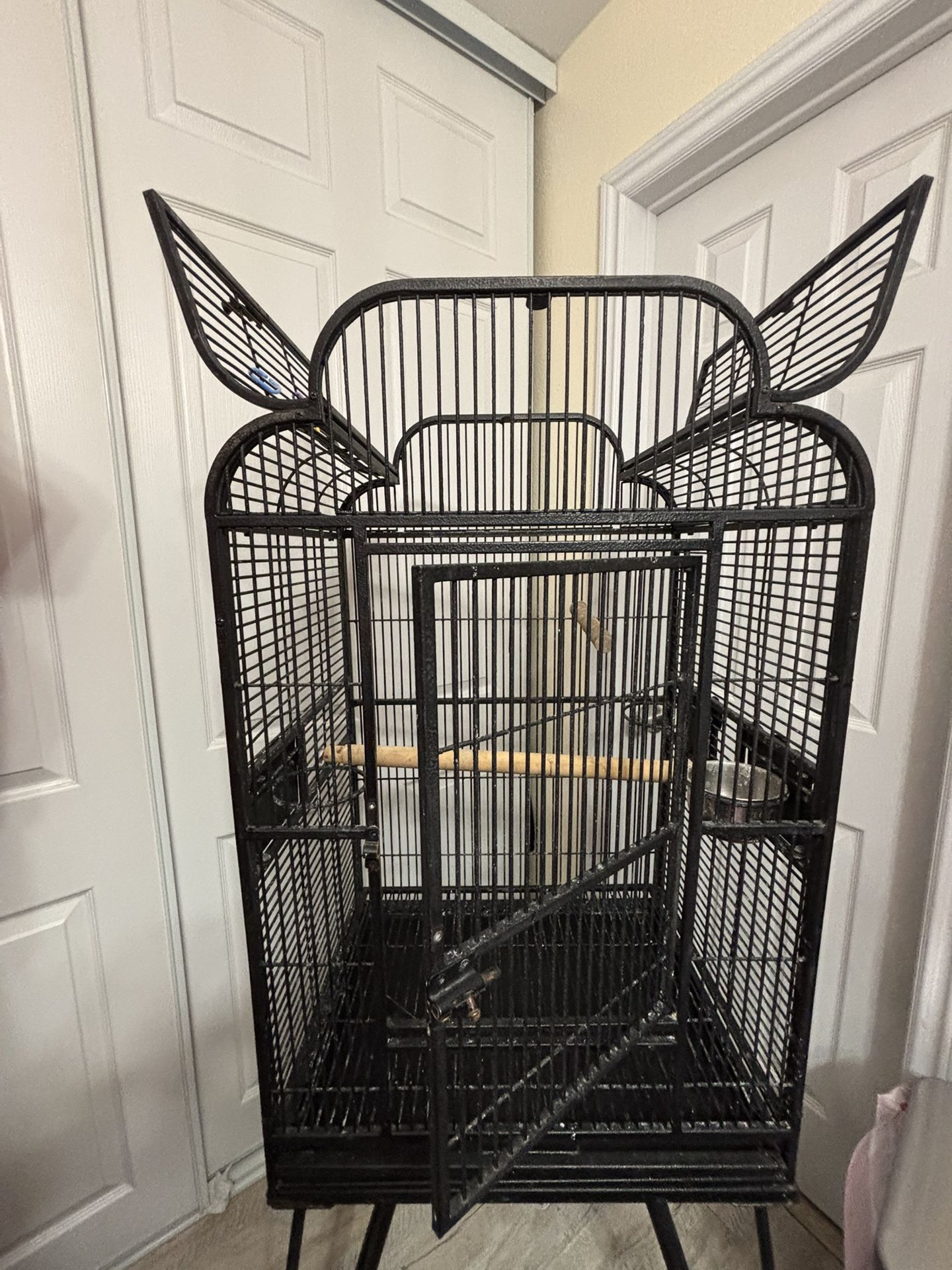 Bird Cage