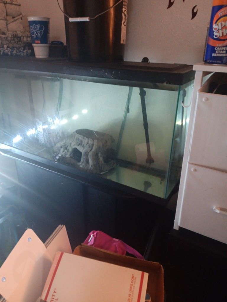 55 Gallon Tall Aquarium