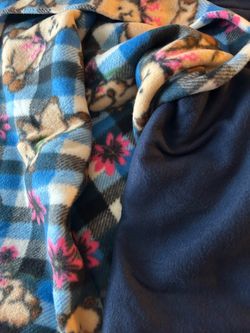 Two Pieces of Fleece Blanket Fabric