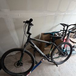 Nishiki Mountain Bike