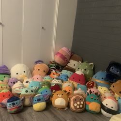 Squishmallow Collection 