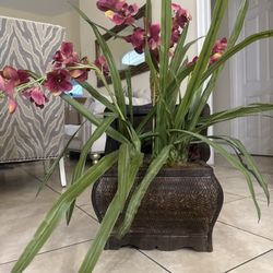 Flower And plant In Chest Decoration